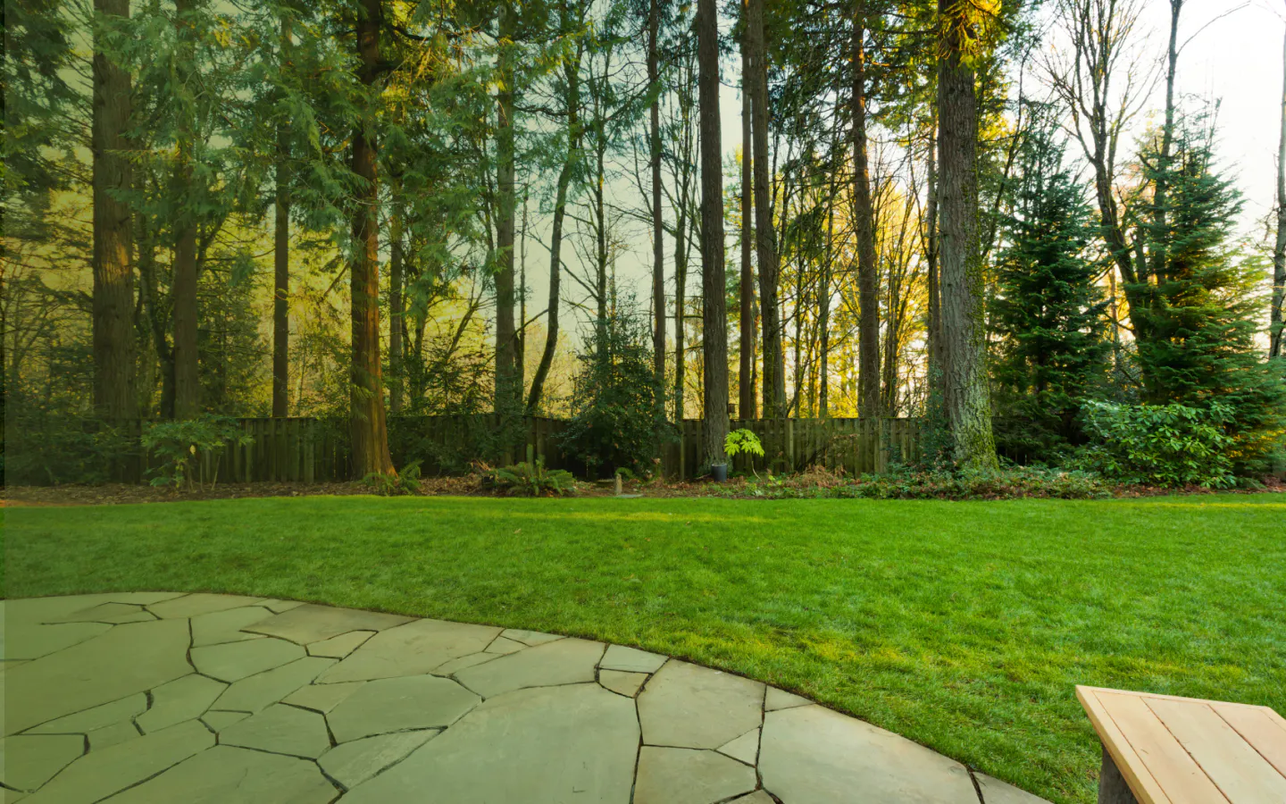 stone pavers and newly cut lawn with huge trees at landscape mountain home ar